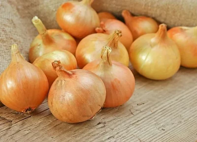 تصویر 2 از پیاز تند با عطر و تندی مشخص برای طعم‌ دهی قوی